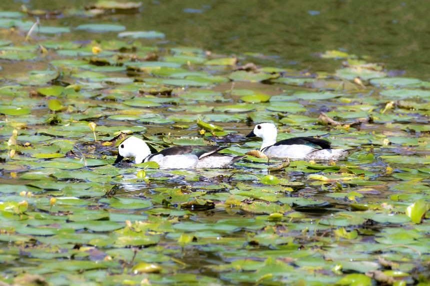 ҶoDpҝع@ȺЗϢҒʳȑєz