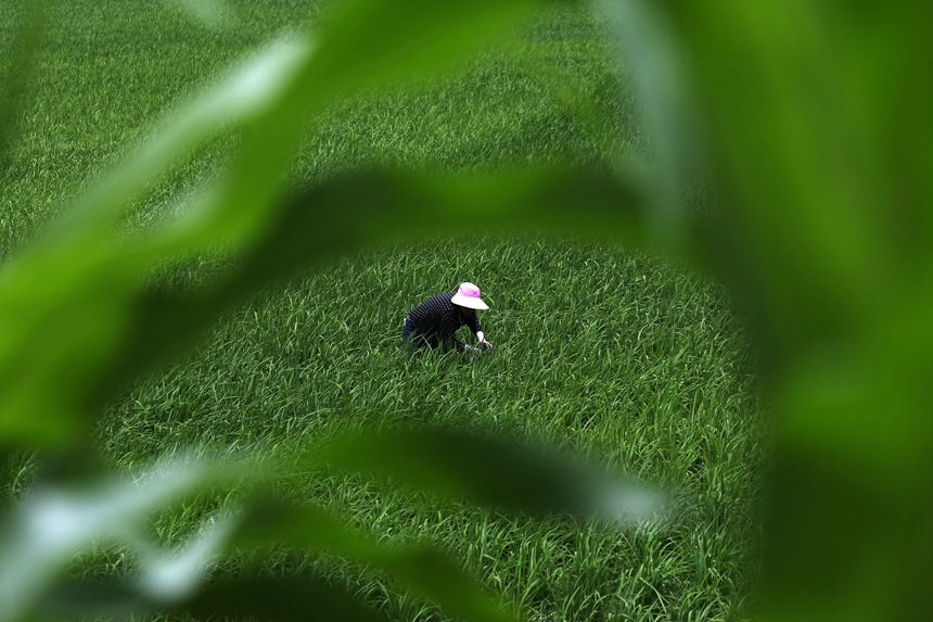 621ؑcǭ^Rɼڵ޶z