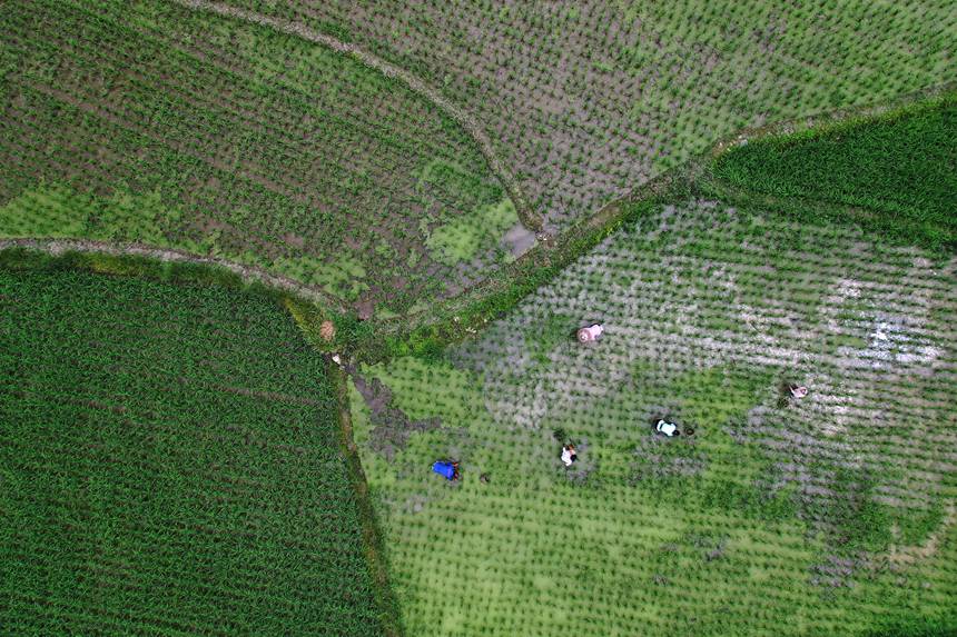 621ؑcǭ^Rɼڵ޶z