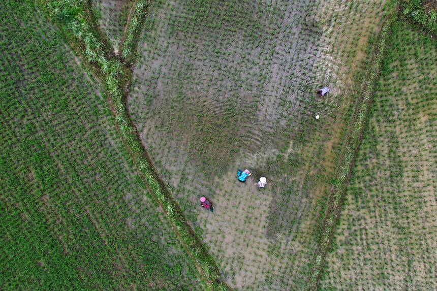 621ؑcǭ^Rɼڵ޶z