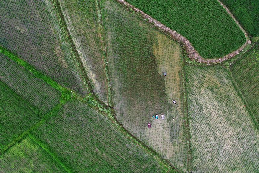 621ؑcǭ^Rɼڵ޶z