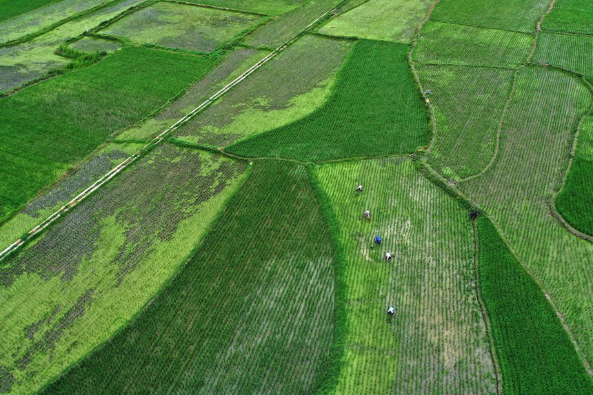 621ؑcǭ^Rɼڵ޶z