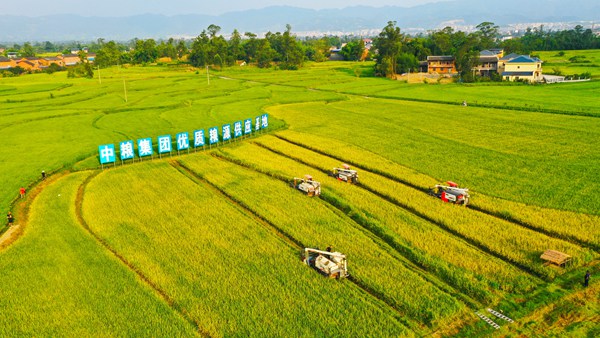 ƽ^“fʯ•ǧ”ˮNֲxz