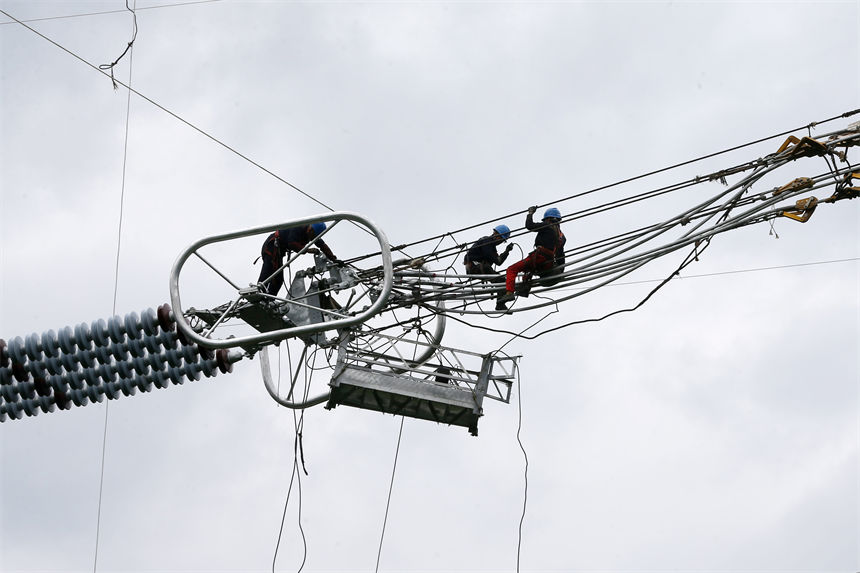 Q㽭800ǧظ߉ֱݔ늹ؑcǭֶʩFڸ߿Iz