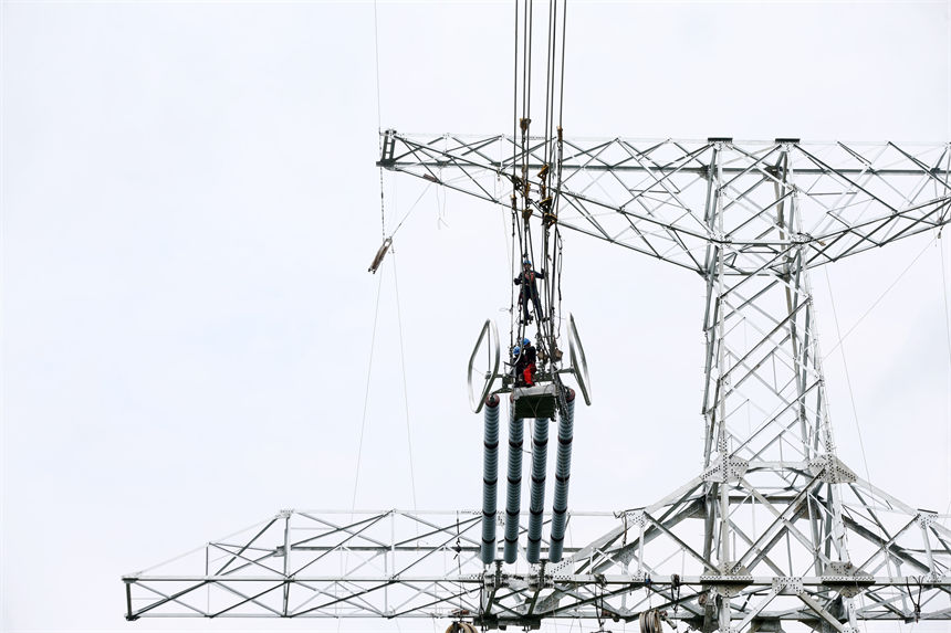 Q㽭800ǧظ߉ֱݔ늹ؑcǭֶʩFڸ߿Iz