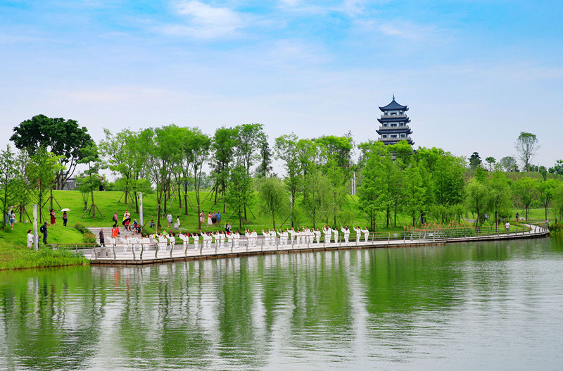 市民在三合湖濕地公園表演太極功夫。黃亞輝攝