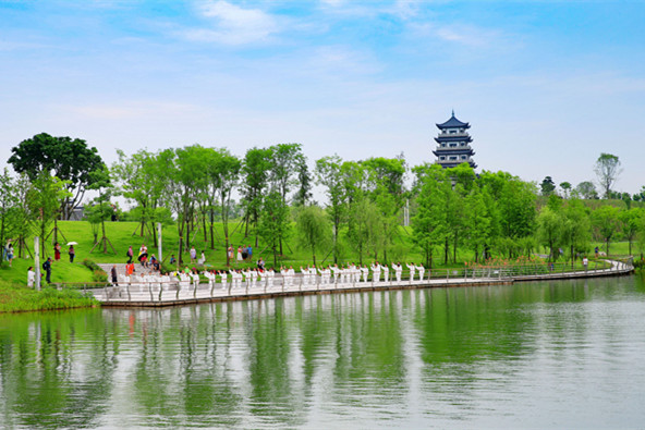 市民在三合湖濕地公園表演太極功夫。向曉秋攝