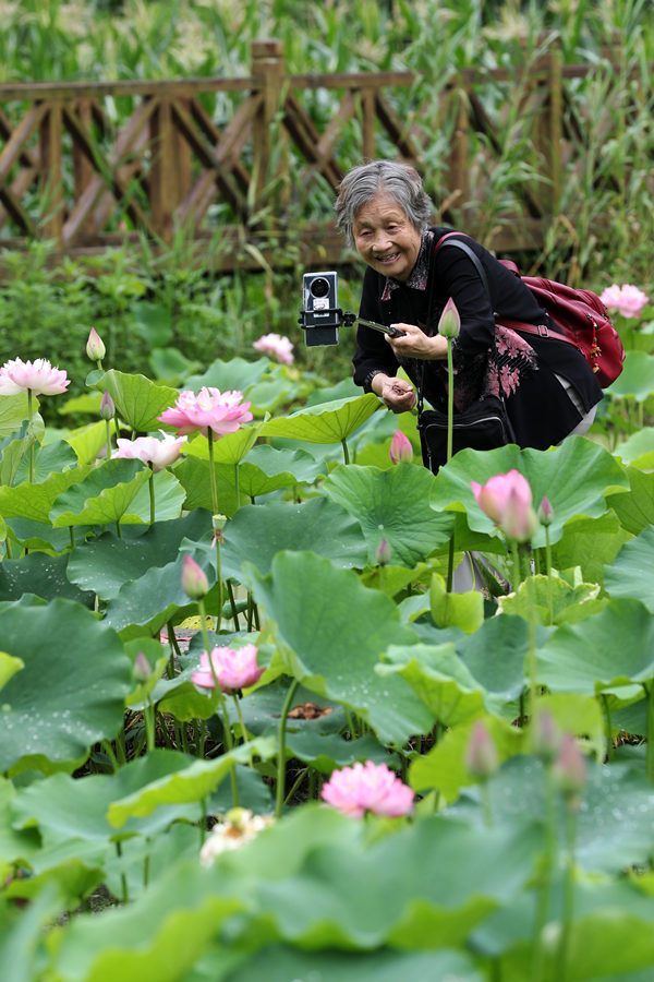 游客在重慶市黔江區小南海鎮新建村土家十三寨荷田里賞花。楊敏攝