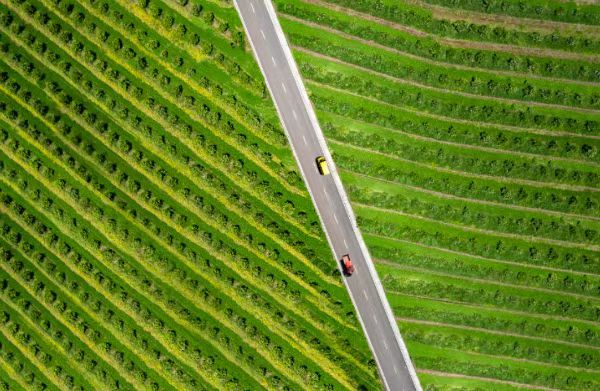 航拍下的無人果園。渝北區委網信辦供圖