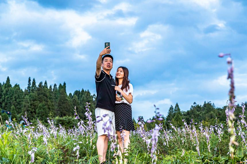 游客在南川山王坪感受涼爽夏日。瞿明斌攝