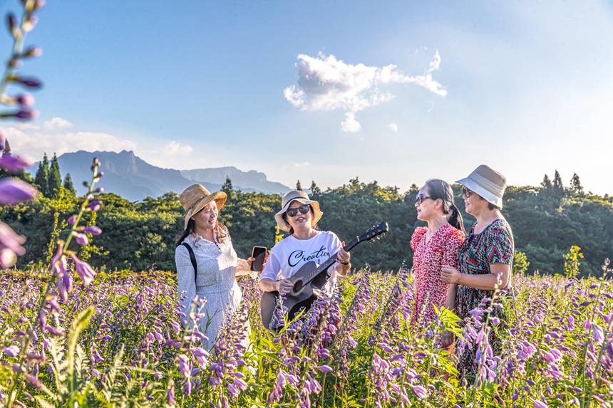游客在南川山王坪感受涼爽夏日。瞿明斌攝