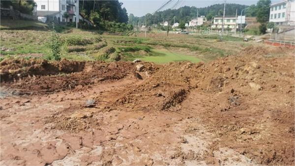 整治前。石龍鎮供圖