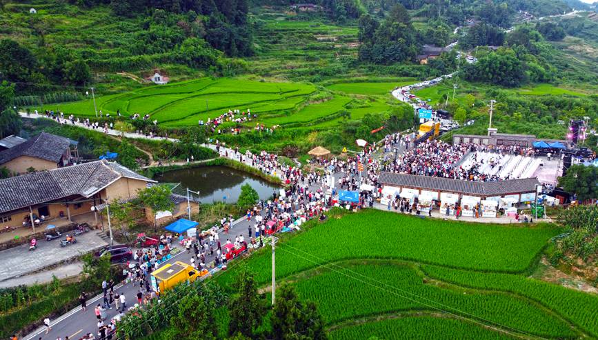 梁平區“明月之夏·露營蟠龍”首屆美麗鄉村露營節活動現場。向成國攝