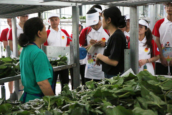 實踐團成員深入養殖場調研,認真記錄。重慶工程職業技術學院供圖