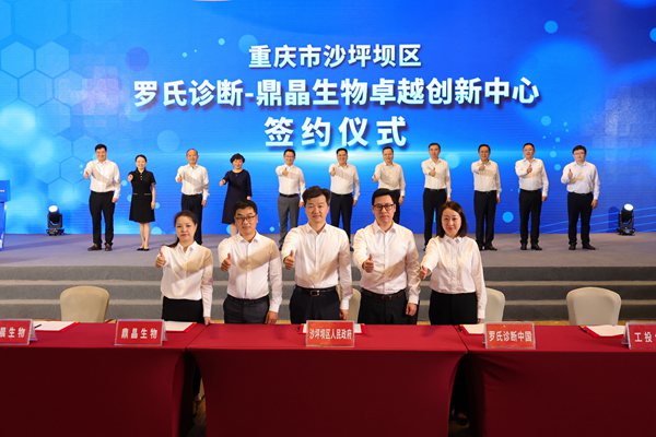 活動現場。沙坪壩區委宣傳部供圖