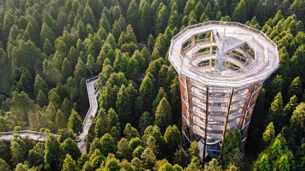 樹頂漫步。武隆區融媒體中心供圖