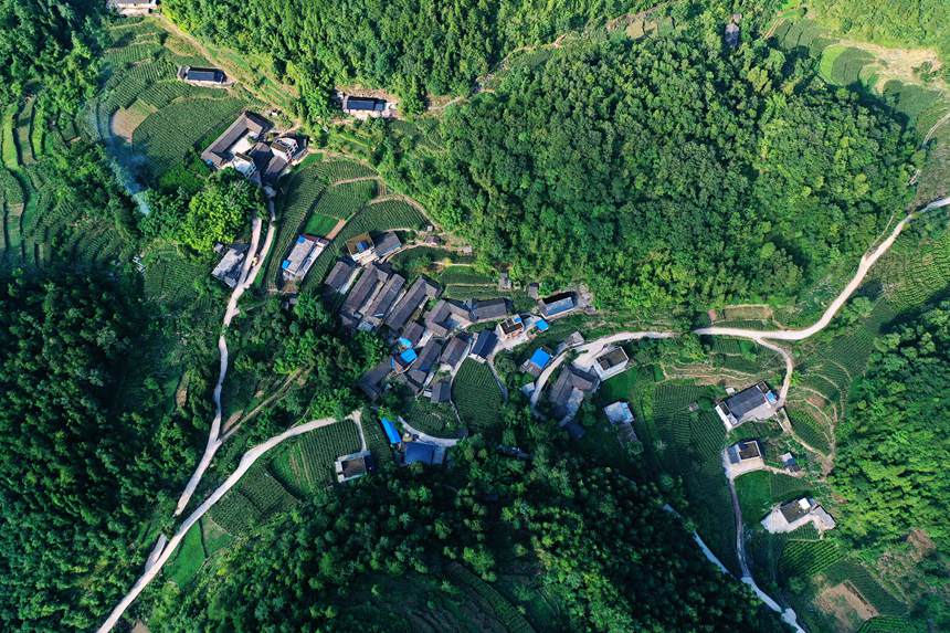 黔江區阿蓬江鎮青杠村。楊敏攝