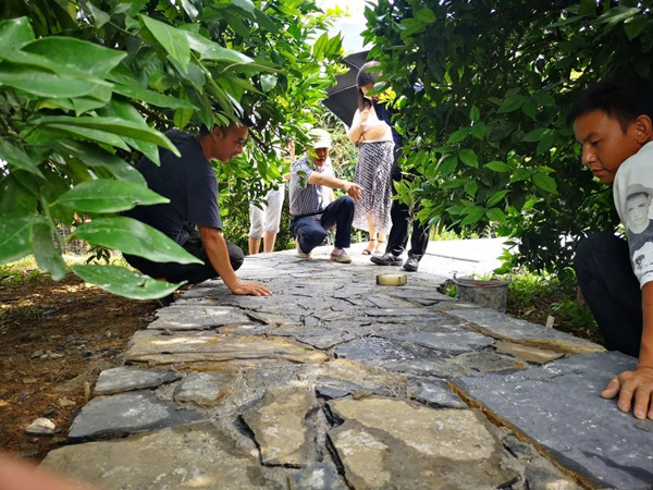 農田景觀道路。奉節縣委宣傳部供圖