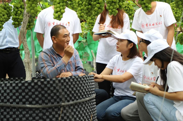 實踐團學習葡萄種植與管理技術。重慶師范大學供圖