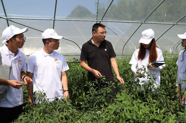 實踐團參觀蔬菜大棚。重慶師范大學供圖