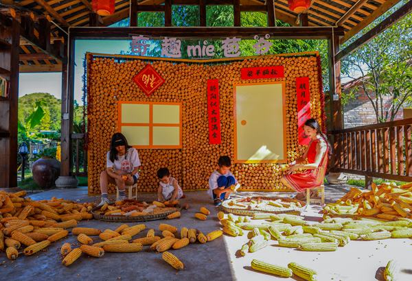 游客參與剝玉米活動。熊偉 攝