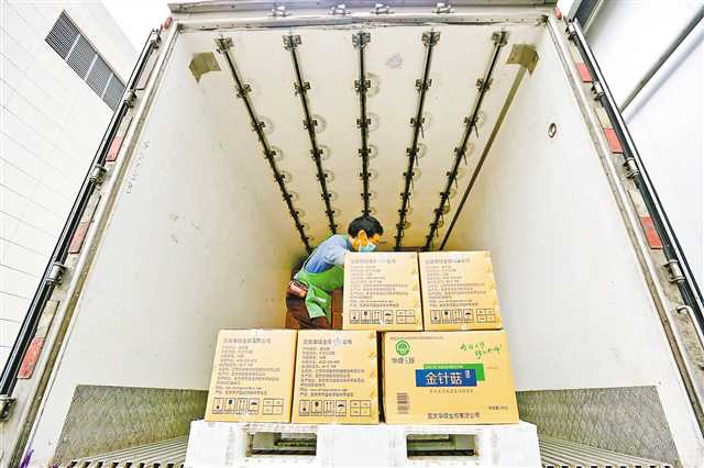 7月31日，萬盛經開區叢林鎮綠水村，工人往冷鏈物流車上裝金針菇。通訊員 王瀘州 攝/視覺重慶