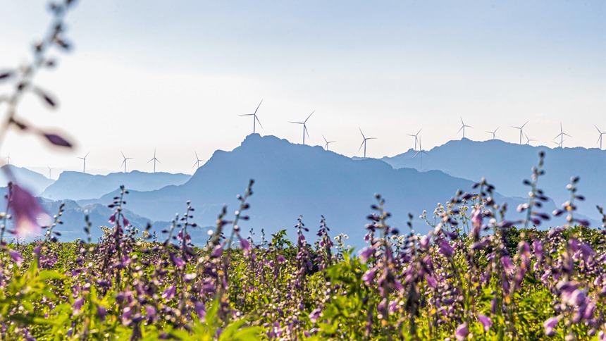 風力發電車迎風轉動。瞿明斌攝