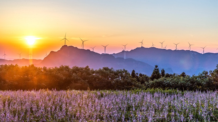 風力發電車迎風轉動。瞿明斌攝