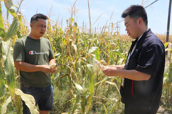田間地頭開展保險理賠工作。潼南區委宣傳部供圖