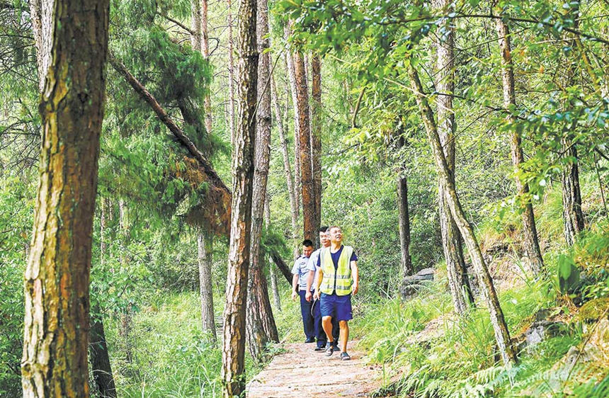 8月16日，在酉陽桃花源國家森林公園，護林員在巡山護林，嚴防森林火災。通訊員 邱洪斌 攝/視覺重慶