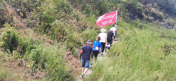 武隆區政府辦公室幫扶集團黨員干部突擊隊開展森林防火巡山工作。黃琴攝