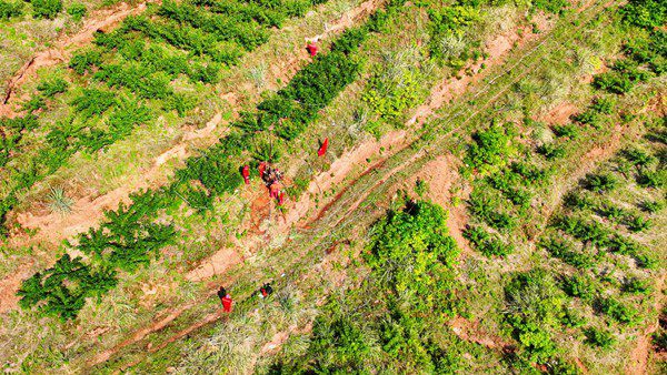 “頭號工程”鉆井施工。西南物探分公司鉆井工程中心供圖