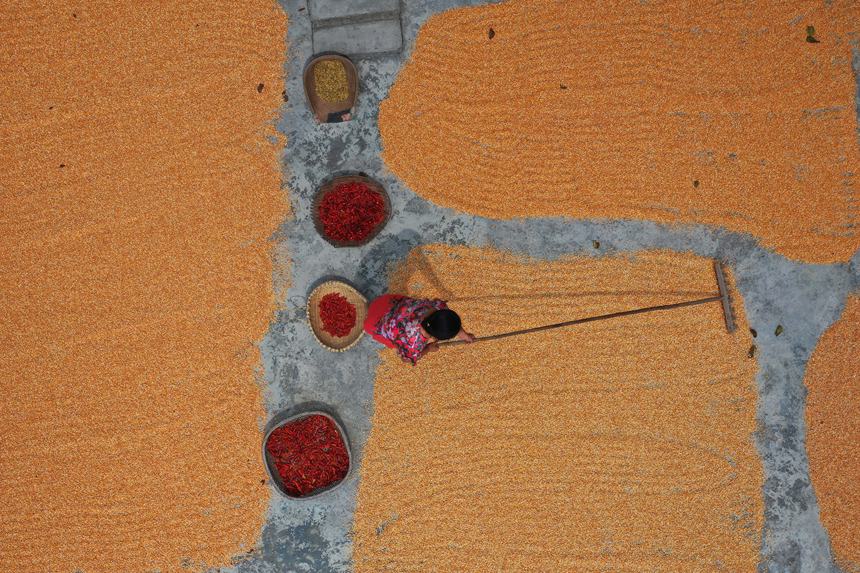 村民正在晾曬糧食。趙勇攝