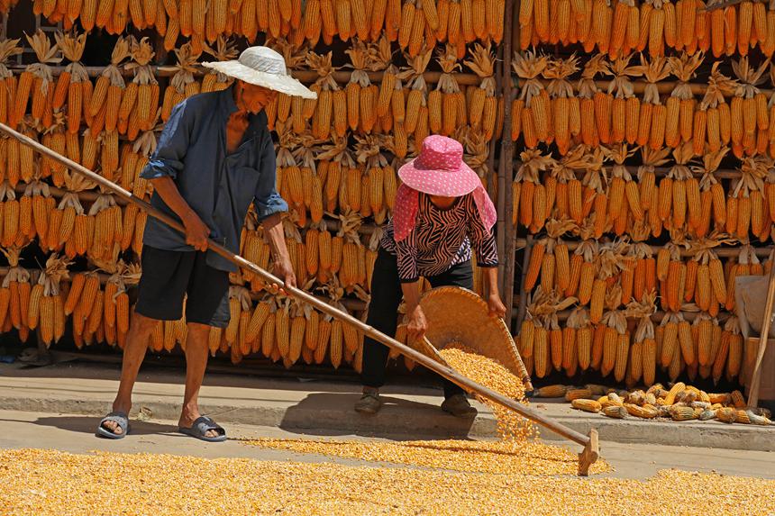村民正在晾曬糧食。趙勇攝