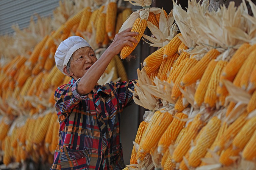 村民正在晾曬糧食。趙勇攝
