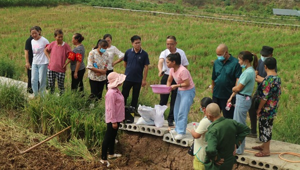 種植技術培訓?！按宕逋惫﹫D