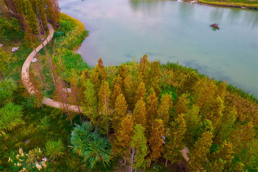 初秋時節的廣陽島，湖光青碧，樹葉泛黃。郭旭攝
