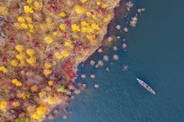紅池壩秋色。巫溪縣委宣傳部供圖