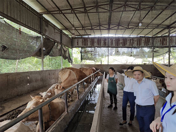 送金融服務到家。民生銀行重慶分行供圖