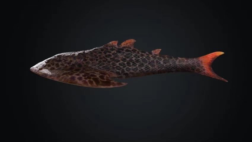 靈動土家魚復原圖。重慶市規劃和自然資源局供圖