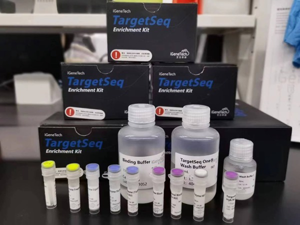 西南大學研發出全球首張油菜液相育種芯片。西南大學供圖