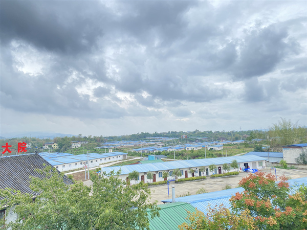 重慶日泉農牧公司的豬場。許林佩攝