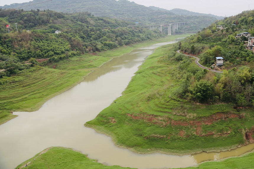 長江支流梨香溪兩岸長滿了綠油油的嫩草。楊孝永攝