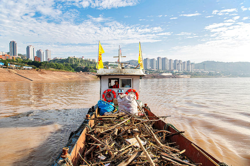 清漂工人運輸漂浮物到清漂碼頭。余鴻攝