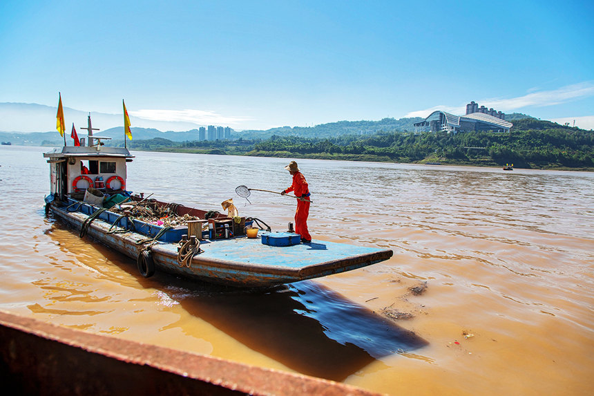 清漂工人在打撈江中漂浮物。余鴻攝
