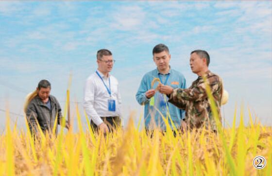 浙江省金華市婺城區紀檢監察干部向農戶了解惠農政策落實情況。 田雙雙攝（影像中國）