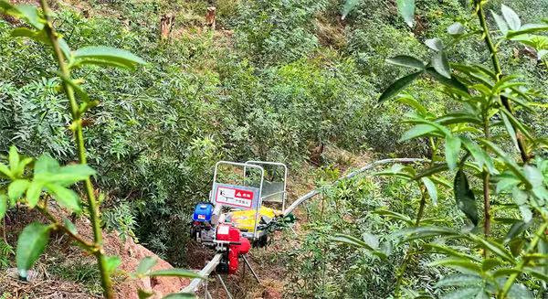 單軌運輸車穿行在花椒林間。成蓉攝