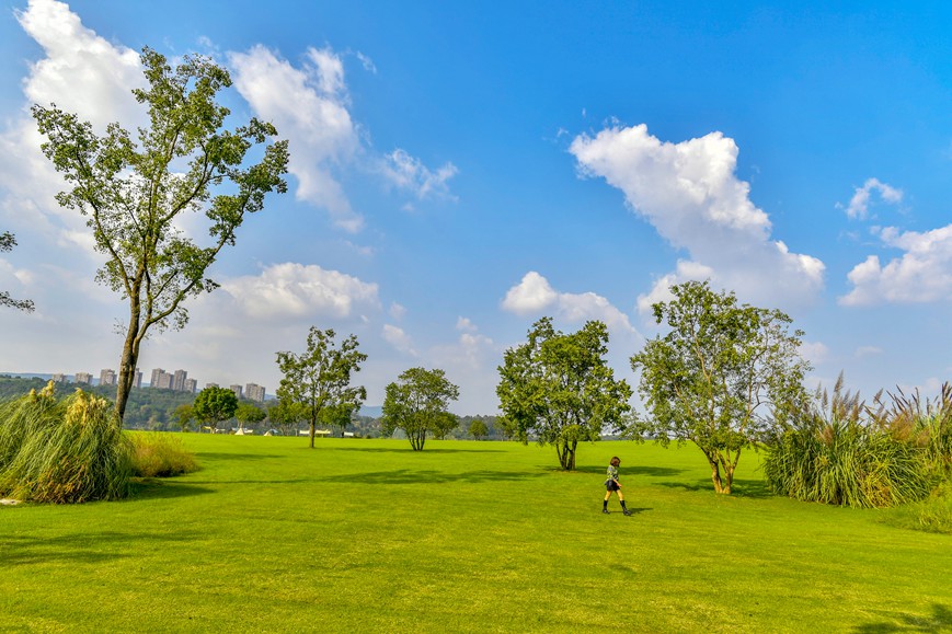 秋色迷人的重慶廣陽島。崔景印攝