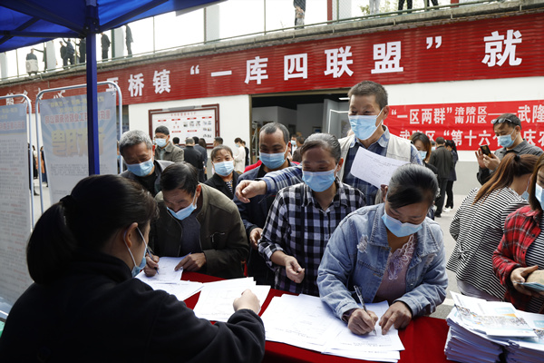 求職者登記信息。代娟攝