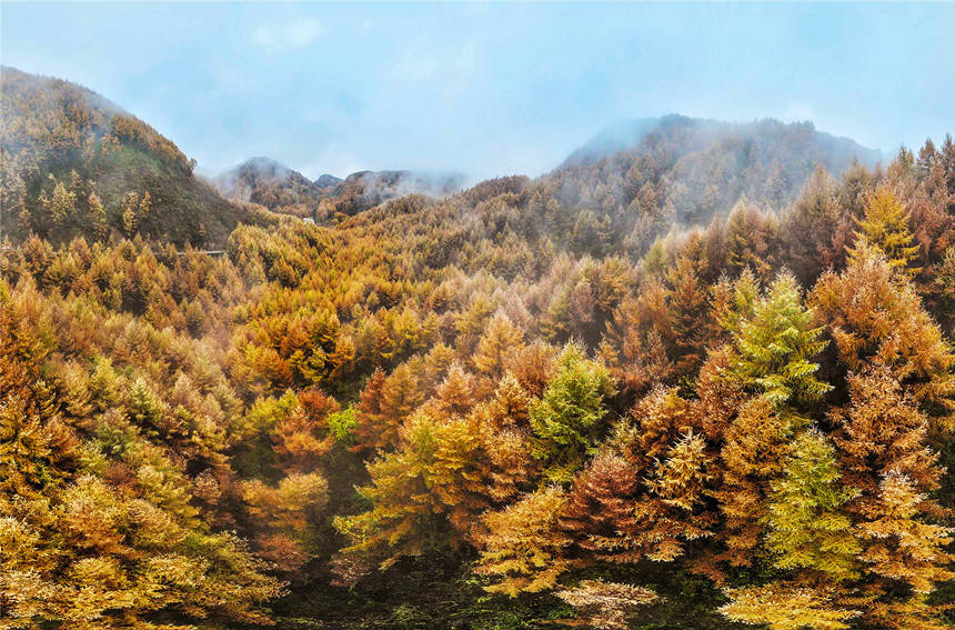 巫山梨子坪秋景。陳光國攝